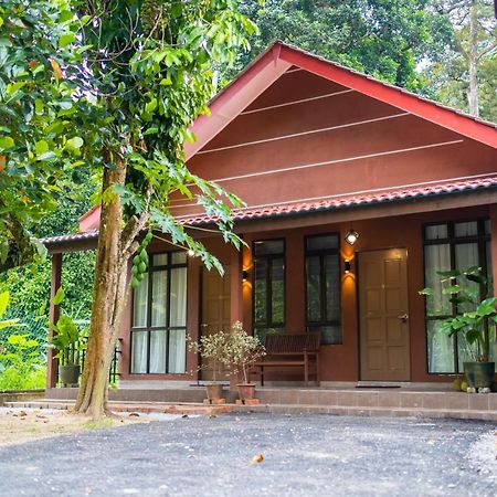 Cinta Abadi Resort Bidur Exterior photo